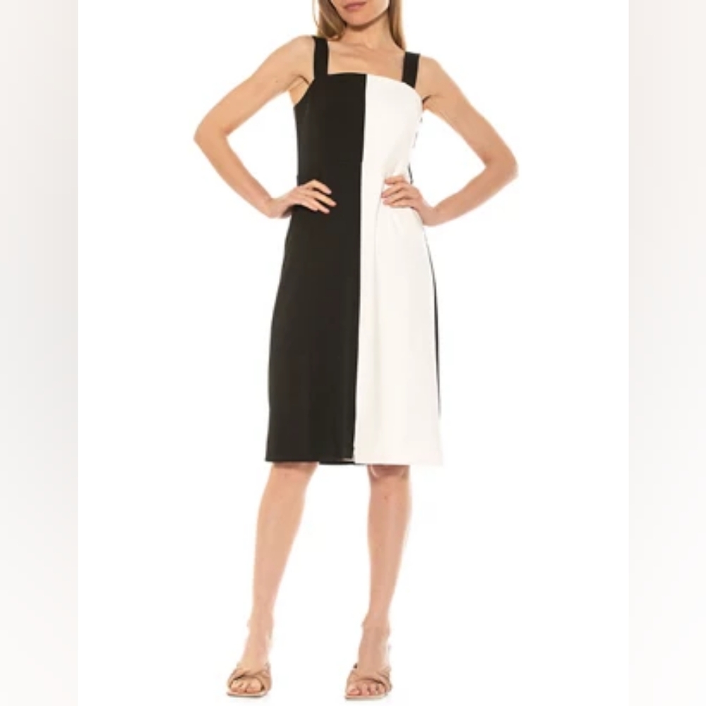 NWT Alexia Admor - Marissa Two Tone Midi